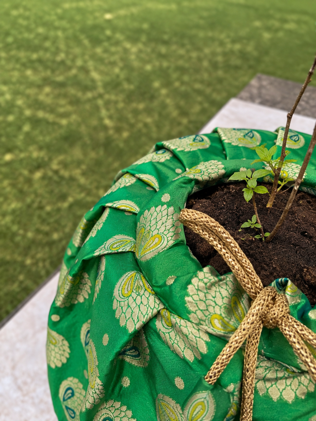 Emerald Green Silk Tulsi Vastra